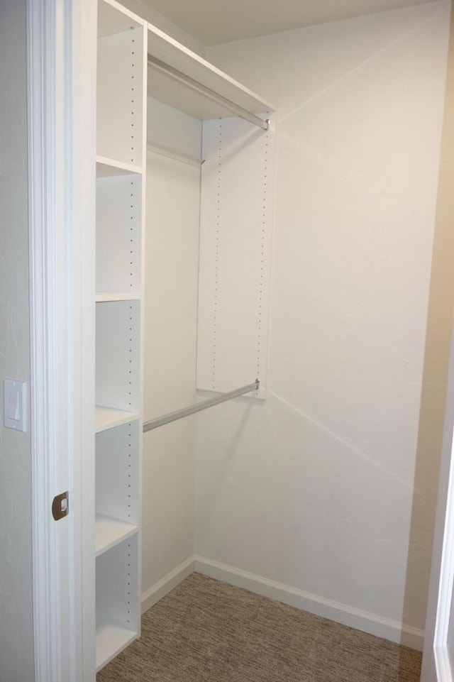 walk in closet featuring carpet flooring