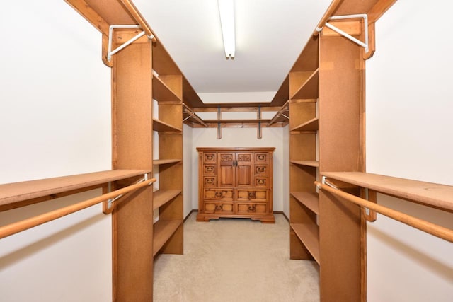 spacious closet featuring light carpet