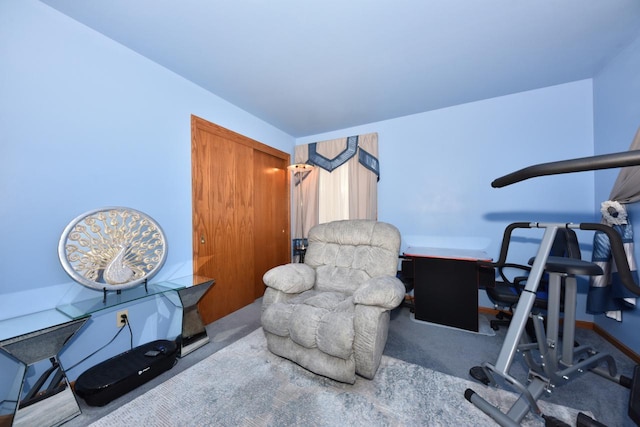 exercise room featuring light colored carpet