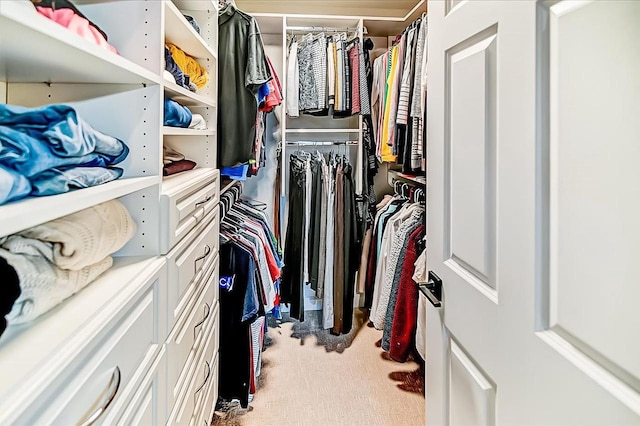 spacious closet featuring light carpet