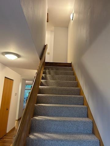 stairs with hardwood / wood-style floors