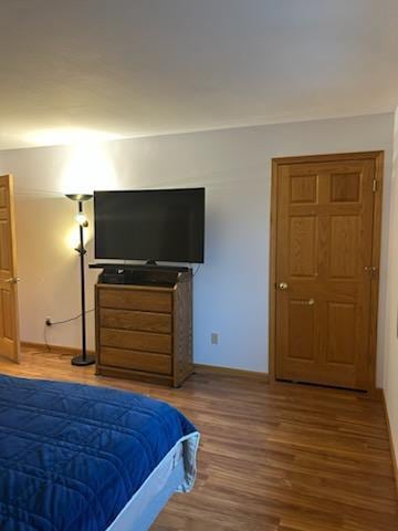 bedroom featuring wood-type flooring