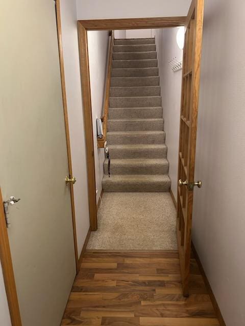 staircase with wood-type flooring