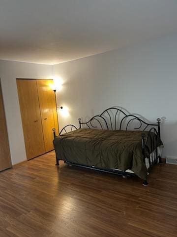 bedroom featuring dark hardwood / wood-style floors