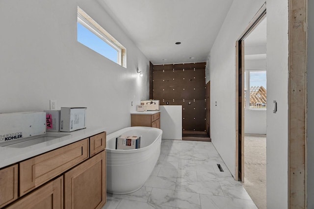 bathroom with vanity, a tub, and a healthy amount of sunlight