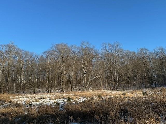 LOT13 Birken Trail Rd, Hayward WI, 54843 land for sale