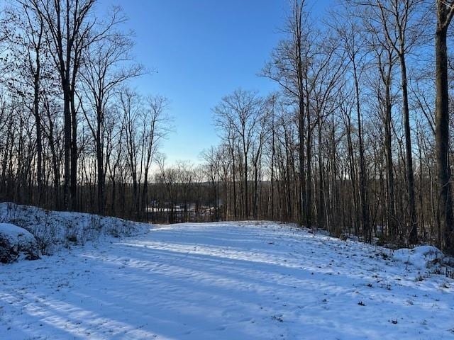 Listing photo 2 for LOT13 Birken Trail Rd, Hayward WI 54843