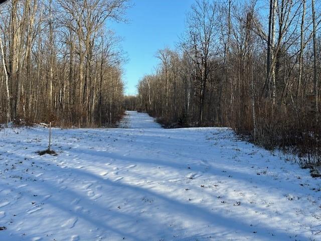 Listing photo 3 for LOT13 Birken Trail Rd, Hayward WI 54843