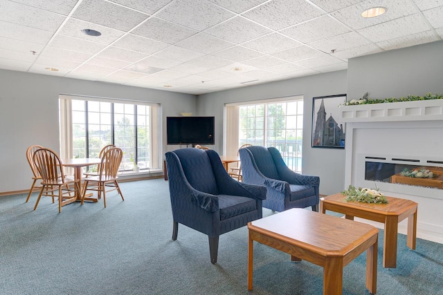 carpeted living area featuring baseboards, a drop ceiling, and a glass covered fireplace