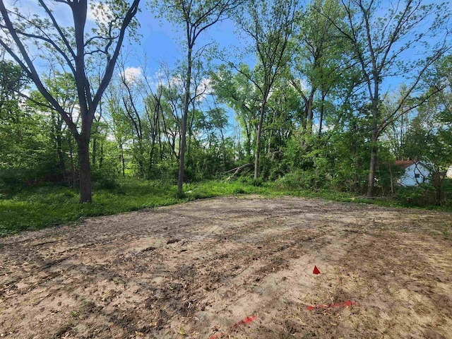 236 Russell Ct, Jefferson, WI 53549 - view of yard