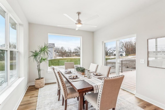 dining room featuring a ceiling fan, light wood-style flooring, and baseboards