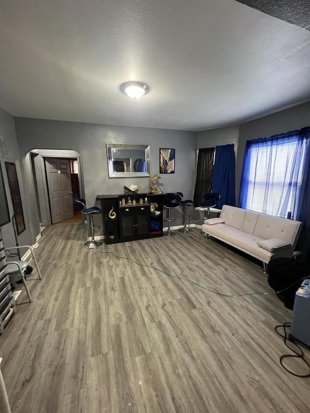 living room featuring hardwood / wood-style flooring and a textured ceiling