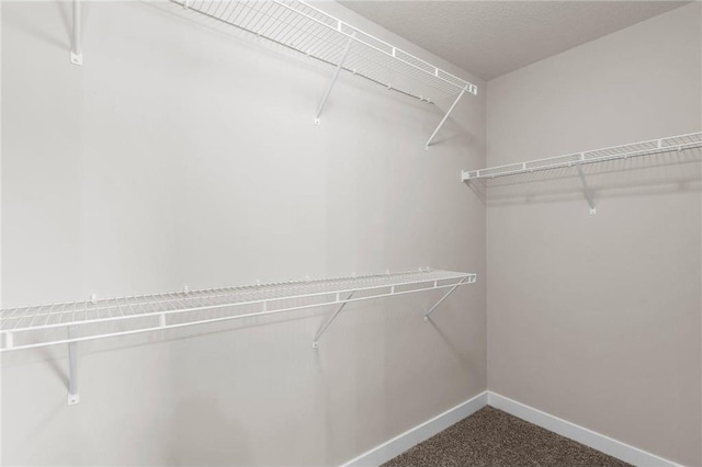 walk in closet featuring carpet