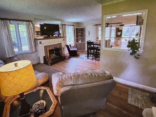 living room featuring hardwood / wood-style floors