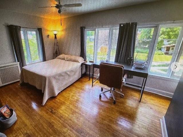 bedroom with ceiling fan, hardwood / wood-style flooring, and radiator heating unit