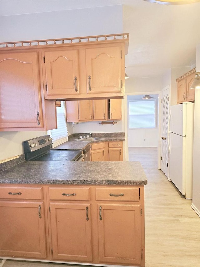 kitchen featuring electric range, plenty of natural light, white fridge, and light hardwood / wood-style floors