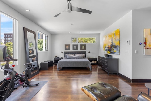 bedroom featuring ceiling fan, dark hardwood / wood-style floors, and multiple windows