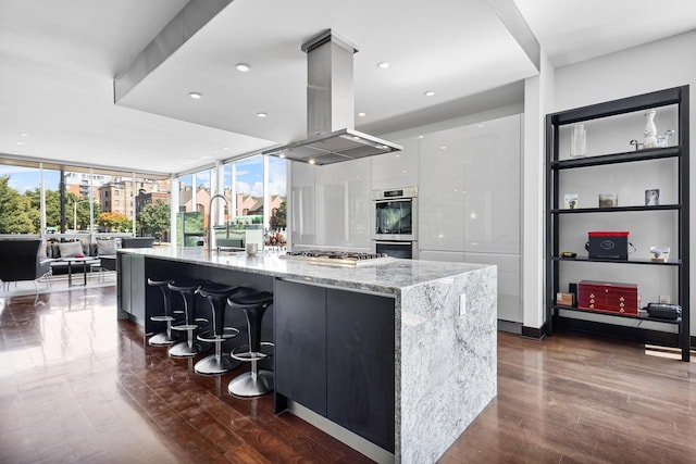 kitchen with appliances with stainless steel finishes, dark hardwood / wood-style flooring, light stone counters, island range hood, and a large island