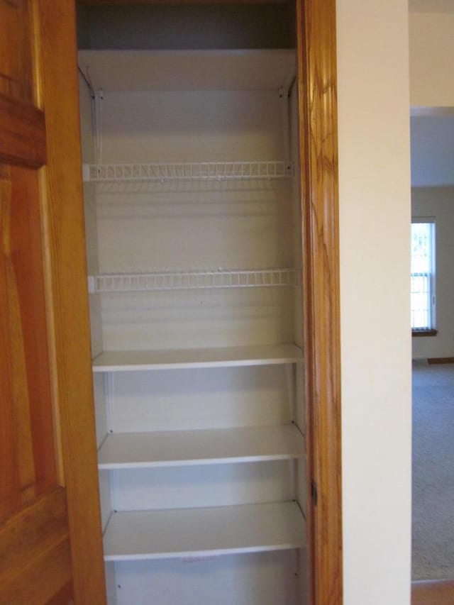 view of closet