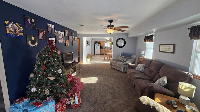 living room featuring ceiling fan and carpet floors