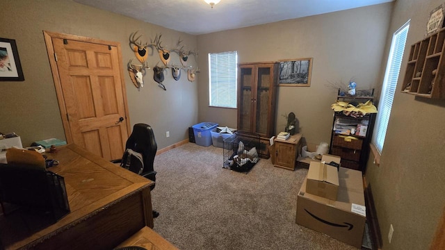 carpeted home office with a healthy amount of sunlight