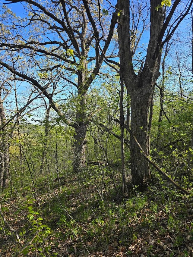 TBD10ACRES Old Country Ln, Prairie Du Chien, WI 53821