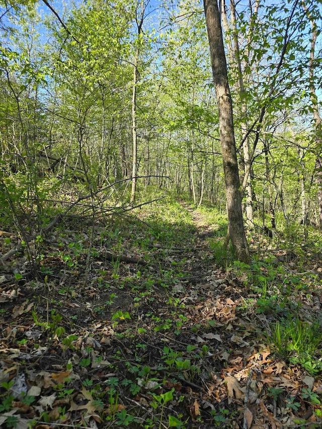 TBD10ACRES Old Country Ln, Prairie Du Chien, WI 53821