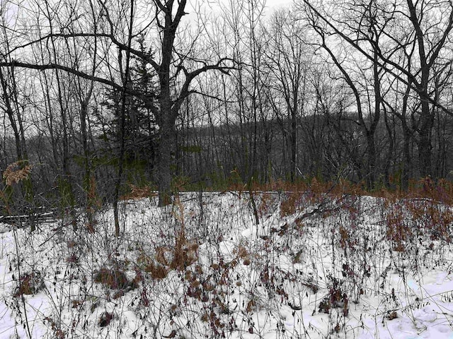 Listing photo 3 for TBD10ACRES Old Country Ln, Prairie Du Chien WI 53821