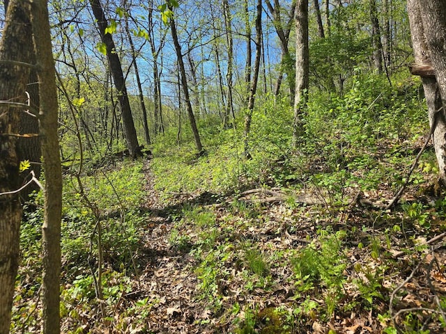 TBD10ACRES Old Country Ln, Prairie Du Chien, WI 53821