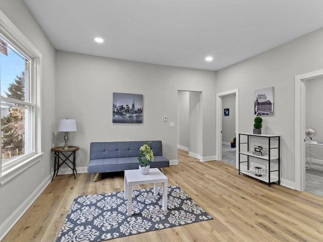 living room featuring light hardwood / wood-style flooring