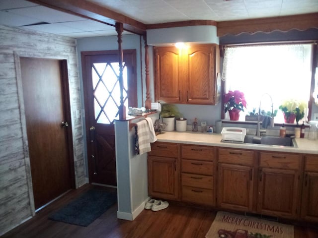 kitchen featuring dark wood-style floors, brown cabinets, light countertops, and a sink