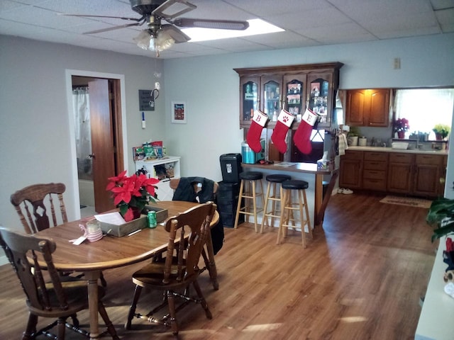 dining space featuring light wood finished floors, a drop ceiling, and a ceiling fan