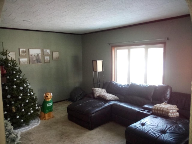 carpeted living area featuring a textured ceiling and ornamental molding