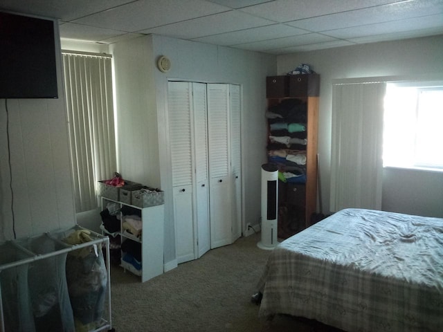 bedroom featuring carpet flooring and a drop ceiling