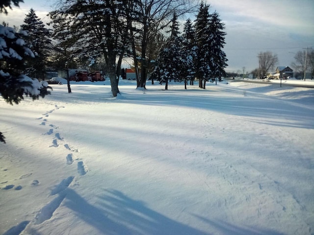 view of snowy yard