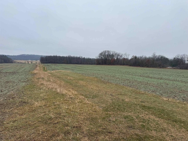 view of yard with a rural view