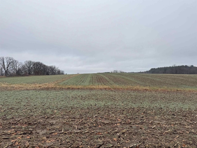 view of yard with a rural view