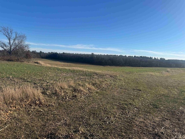 view of local wilderness with a rural view