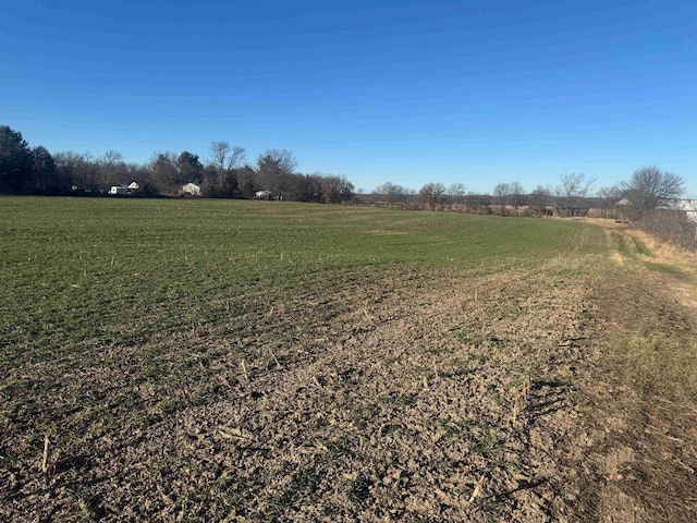 view of yard featuring a rural view