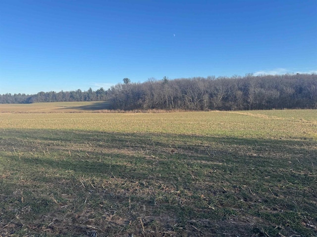 view of yard featuring a rural view