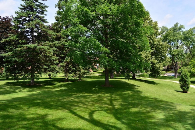 view of home's community featuring a lawn