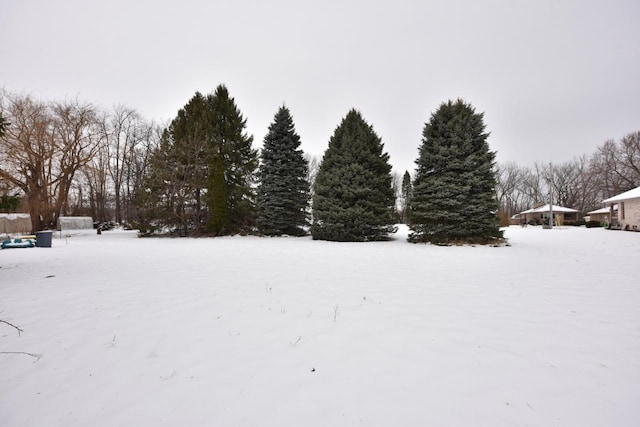 view of yard layered in snow