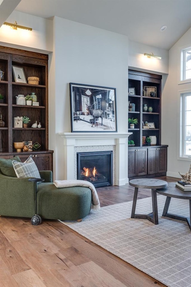 living room with hardwood / wood-style flooring and built in features