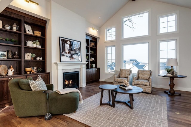 living room featuring dark hardwood / wood-style floors, high vaulted ceiling, and built in features