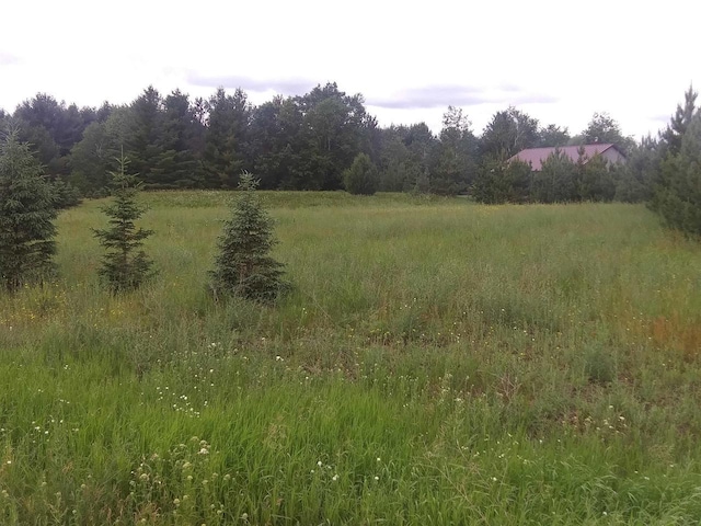 Listing photo 2 for LOT25 Verde Villa Dr, Hatley WI 54440