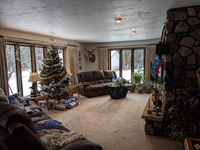 living room with carpet floors and a healthy amount of sunlight