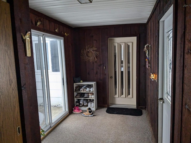 interior space featuring wood walls and carpet floors