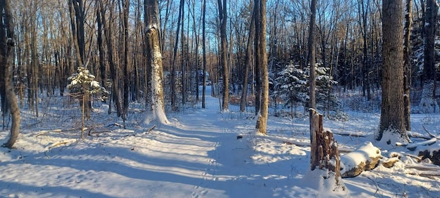 view of yard layered in snow