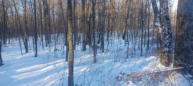 view of snow covered land