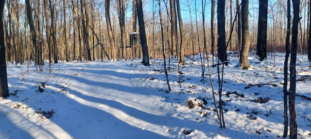 view of yard layered in snow